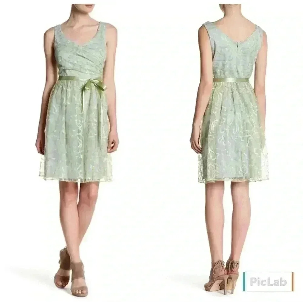 Marina Embroidered Mesh Dress